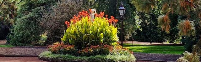 Friends of Ballarat Botanical Gardens image