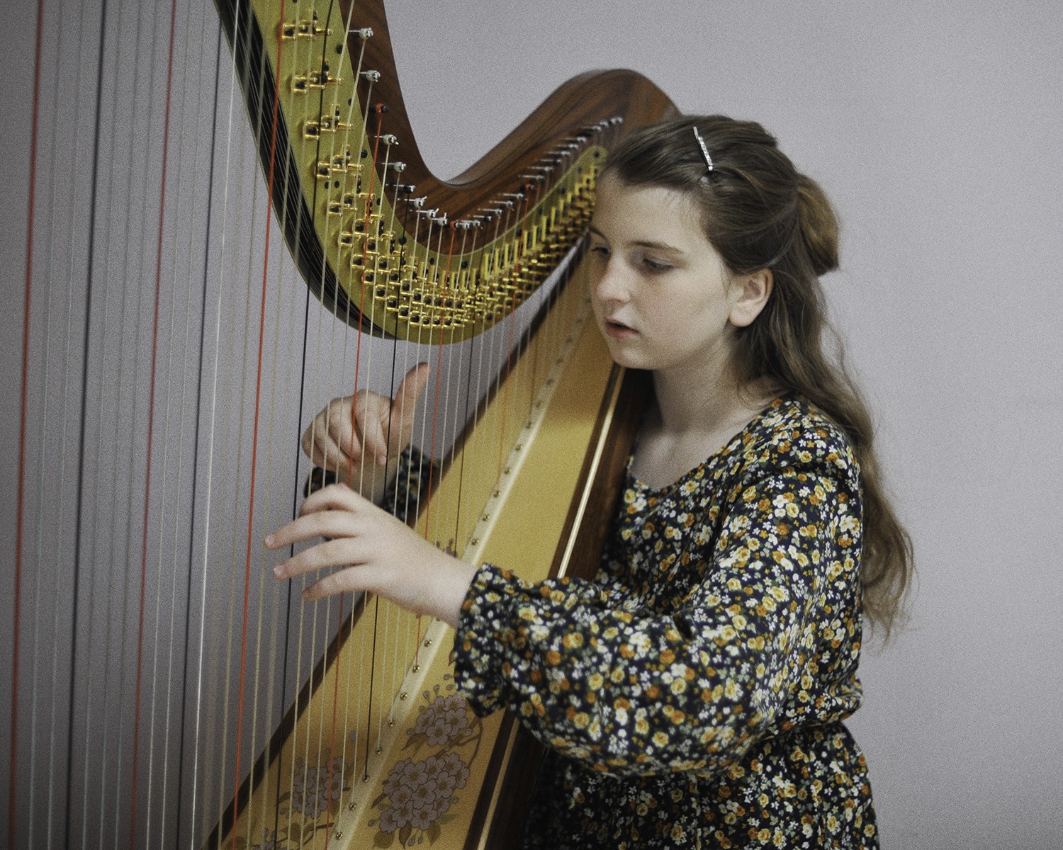 Anna Macak image